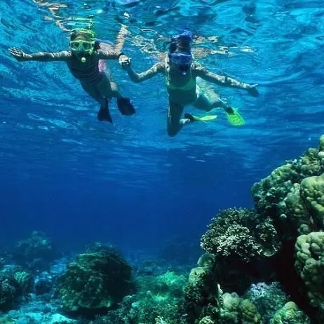 thumbnail for publication: Aquatic and Marine Ecosystems—Lesson 5: Marine Ecosystems: Coral Reefs and Open Ocean